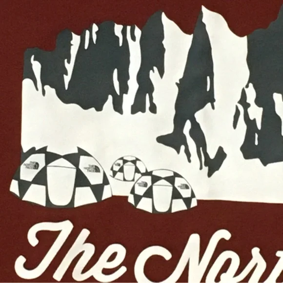 The North Face Pullover Hoodie Hooded Sweatshirt Sweater Mens Sz M Red New NWT - Picture 9 of 10